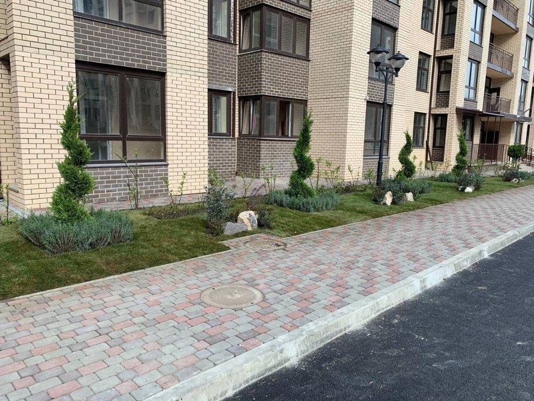 Тротуар из цветной плитки вдоль кирпичного фасада, на газоне туи и низкие кустарники